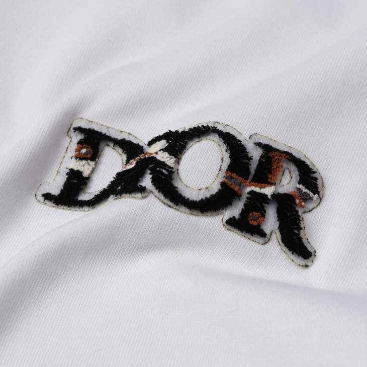 Dior Polo Shirts Short _SKUDiorS-2XLattr46328375